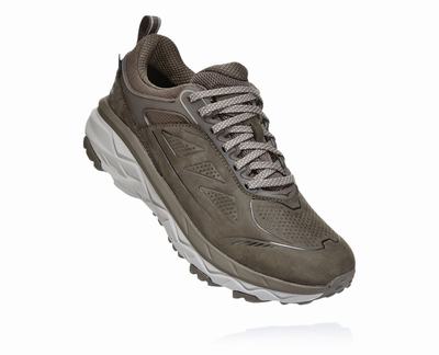 Hoka One One Women's Challenger Low GORE-TEX Trail Running Shoes Brown (HO9315) Australia